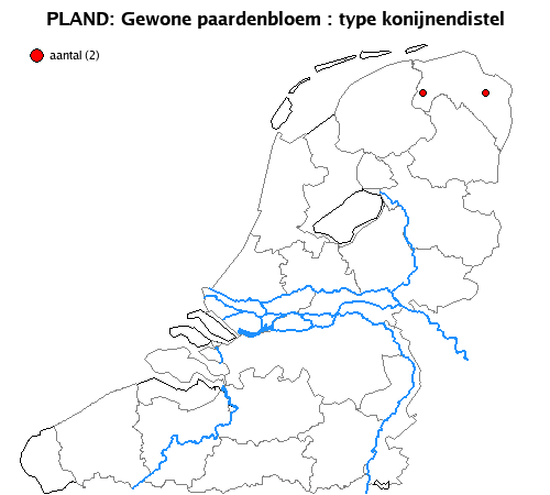 konijnendistel